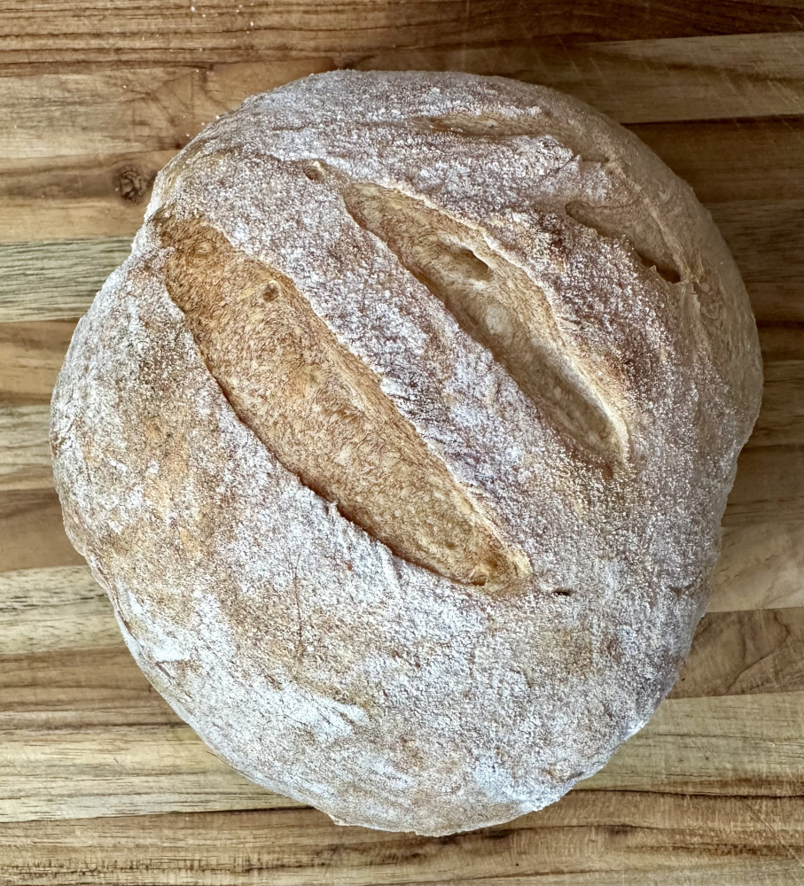 A photo of my sourdough sitting on a wooden surface